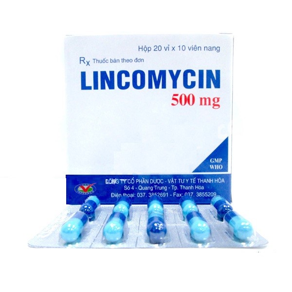 Cảnh giác phân biệt thuốc Lincomycin 500mg thật - giả trên thị trường