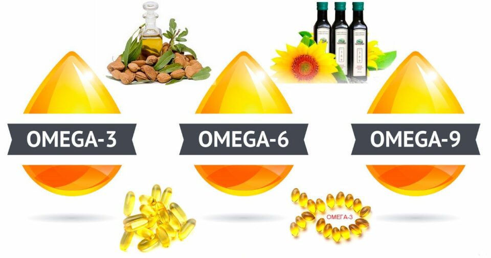 Phân biệt Omega 3, Omega 6, Omega 9 và cách dùng hiệu quả