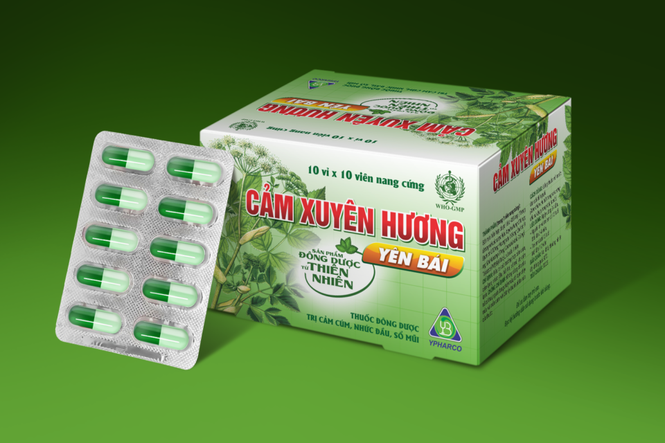 CẢM XUYÊN HƯƠNG KHÔNG DÙNG ĐƯỢC CHO BÀ BẦU!