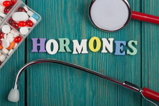 Liệu pháp thay thế estrogen có thể giúp phòng ngừa bệnh Alzheimer ở phụ nữ